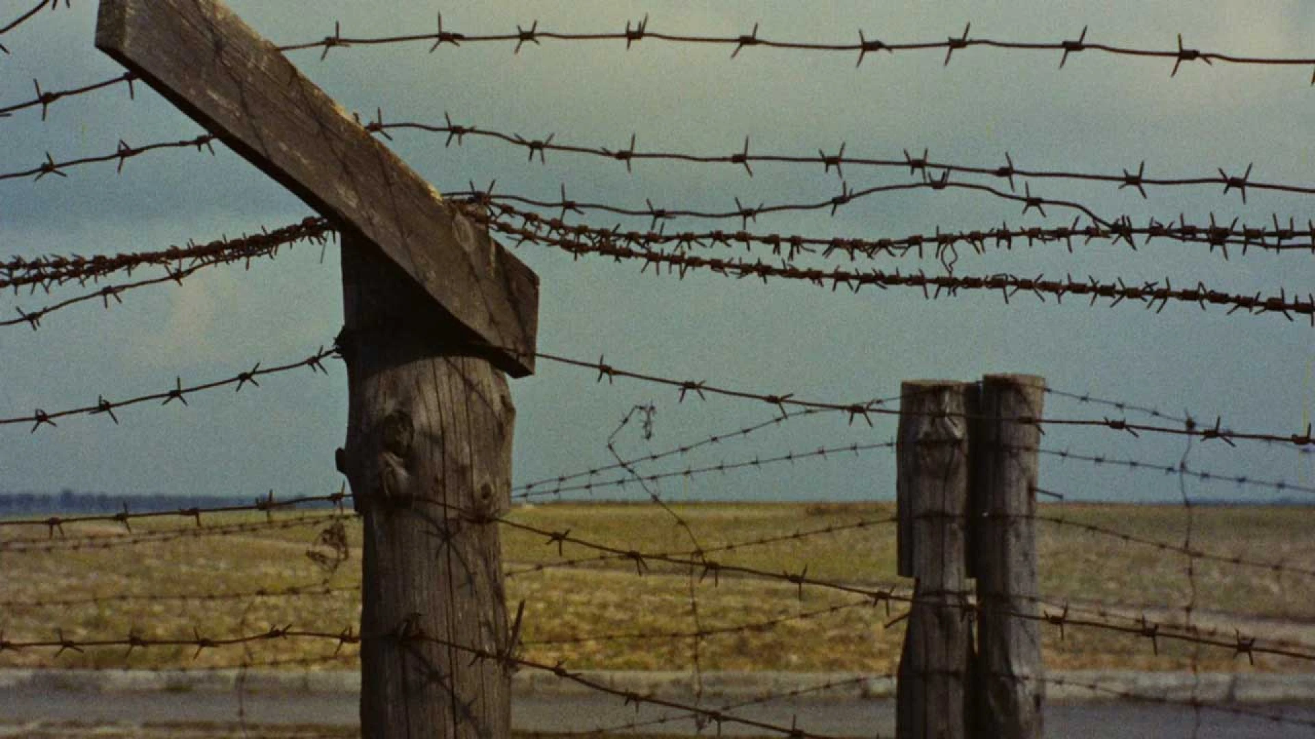 دانلود فیلم مستند Night and Fog 1956