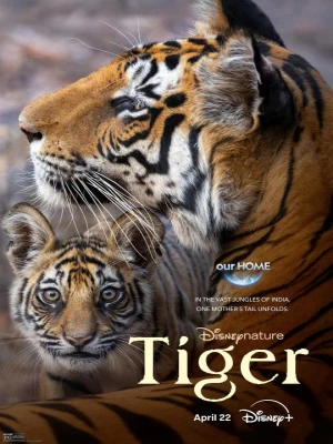 دانلود فیلم Tiger