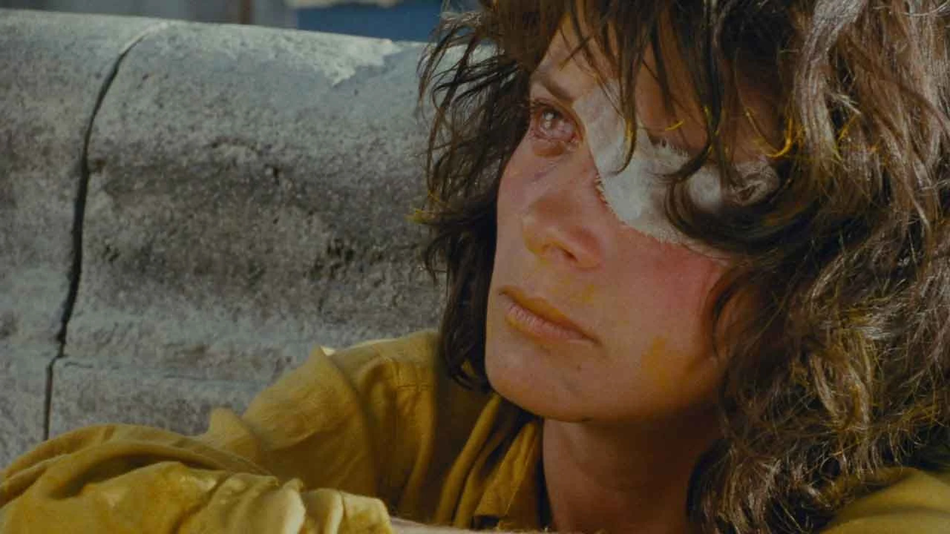 دانلود فیلم The Lovers on the Bridge 1991